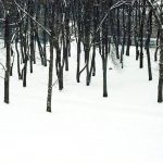 tumblr_n2wdy5TRkQ1rg65pfo1_1280