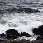 10488606_1431883687087475_1003436732_n