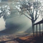 10467707_242685012586880_2082432278_n