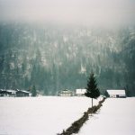 4351585762_b860b17900_z