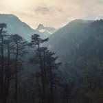 84935747_1dc4ed3966_z