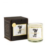 J.Crew Autumn Introduction Candle