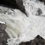 Mariman_Redondo-960×540