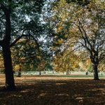 autumn fall london john lewis christmas lookbook red orange-14