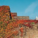 autumn fall london john lewis christmas lookbook red orange-5