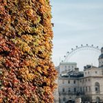 autumn fall london john lewis christmas lookbook red orange-55