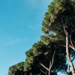 rome italy vscocam style division explores fujifilm-21