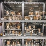 things4 attractions to do in london explore blog-11