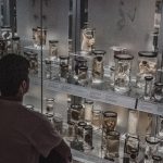 things4 attractions to do in london explore blog-15