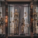 things4 attractions to do in london explore blog-5