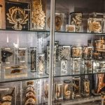 things4 attractions to do in london explore blog-8