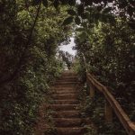 dorset-durdle-door-britain-uk-nature-4