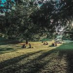 st-james-green-park-london