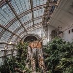 vienna-austria-wien-travel-blogger-wanderlust-45