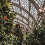 vienna-austria-wien-travel-blogger-wanderlust-46