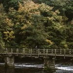 bolton-abbey-priory-yorkshire-15