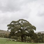 bolton-abbey-priory-yorkshire-18