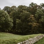 bolton-abbey-priory-yorkshire-2