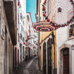 coimbra anton dee