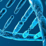 Screen Shot 2017-02-26 at 13.58.51