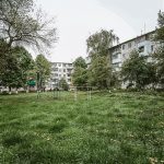 ukraine kalush dvsn-4