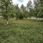 ukraine kalush dvsn-6