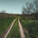 ukraine melitopol dvsn nature-12
