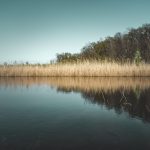 ukraine melitopol dvsn nature