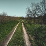 ukraine melitopol dvsn nature-19