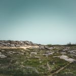 ukraine melitopol dvsn nature-3