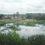 ukraine melitopol dvsn nature-32