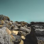ukraine melitopol dvsn nature-4