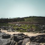 ukraine melitopol dvsn nature-5