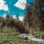 carpathian mountains ukraine travel-10