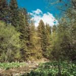 carpathian mountains ukraine travel-11
