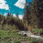 carpathian mountains ukraine travel-12