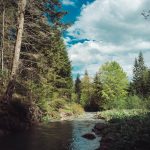 carpathian mountains ukraine travel-14