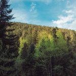 carpathian mountains ukraine travel