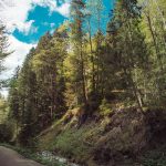 carpathian mountains ukraine travel-18