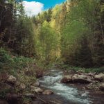 carpathian mountains ukraine travel-19