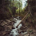 carpathian mountains ukraine travel-20