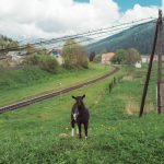 carpathian mountains ukraine travel-29