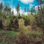carpathian mountains ukraine travel-30