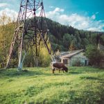 carpathian mountains ukraine travel-44