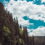 carpathian mountains ukraine travel-47