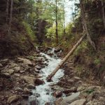 carpathian mountains ukraine travel-7