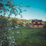 carpathian mountains ukraine travel-79