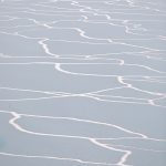 _95A6684i