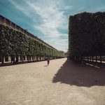 Париж france dvsn collective journal_-8 copyi