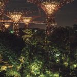 anton dee journal singapore dvsn august 2018-38